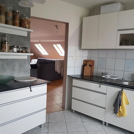 Wczasowisko Karola Διαμέρισμα Lubomierz  Εξωτερικό φωτογραφία